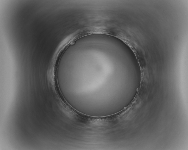 X0000115590293200911171035