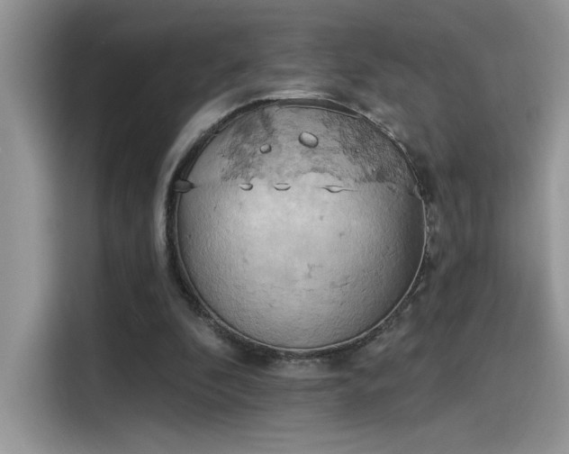 X0000115590296200911171035