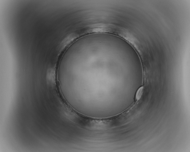 X0000115590297200911171035