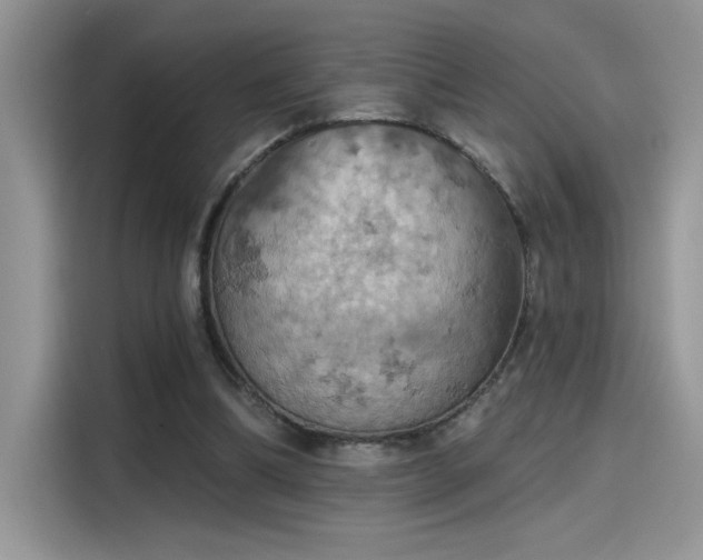 X0000115590298200911171035