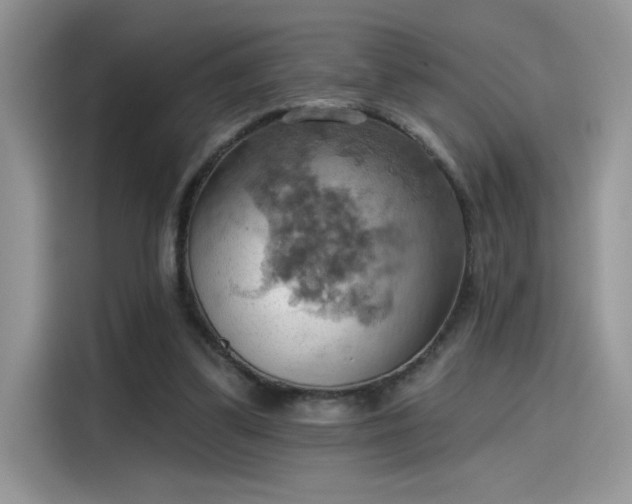 X0000115590299200911171035