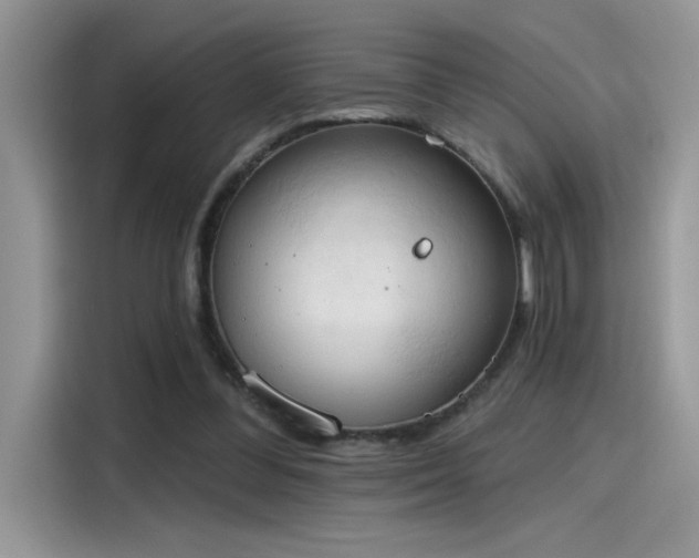 X0000115590300200911171035
