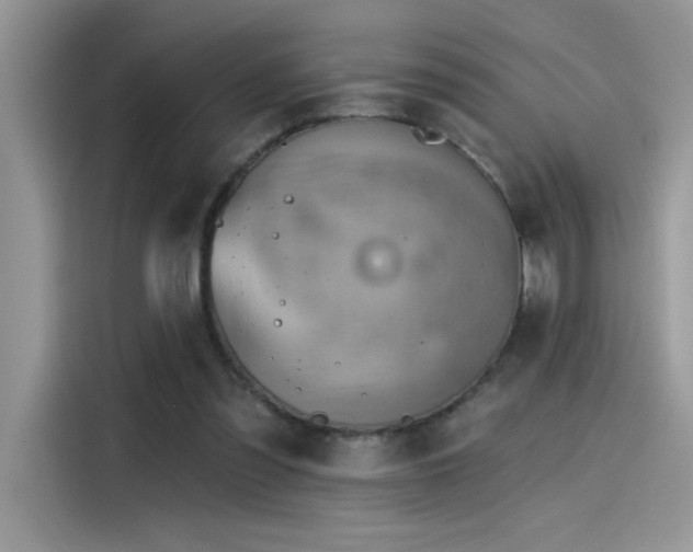 X0000115590301200911171035