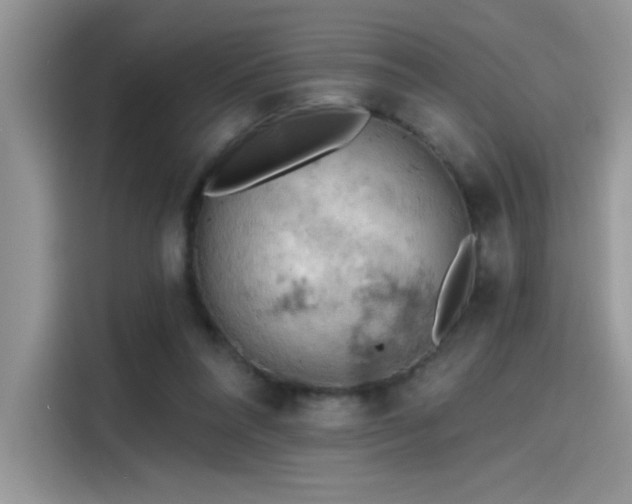 X0000115590304200911171035
