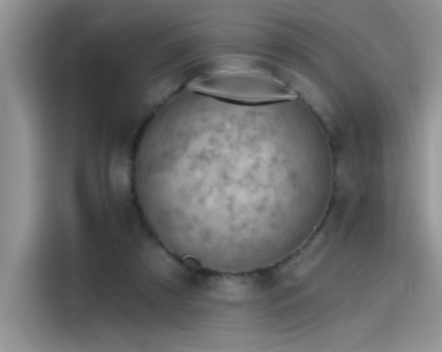 X0000115590305200911171035