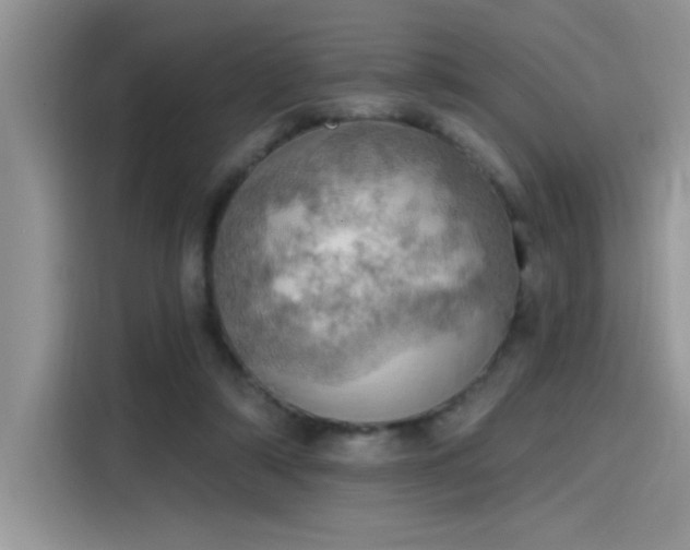 X0000115590306200911171035