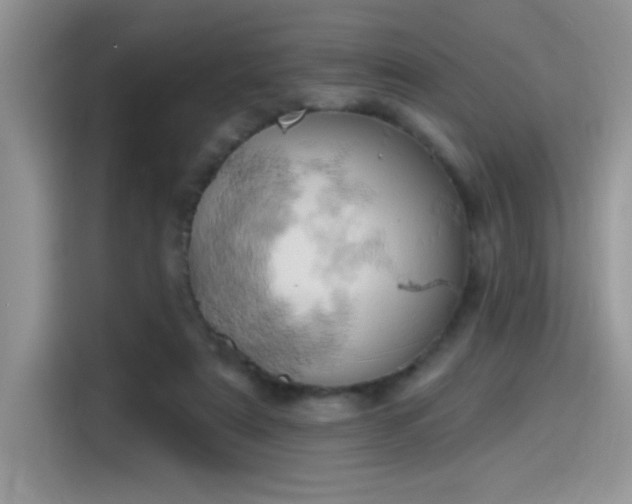 X0000115590307200911171035