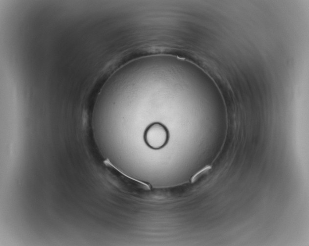 X0000115590308200911171035