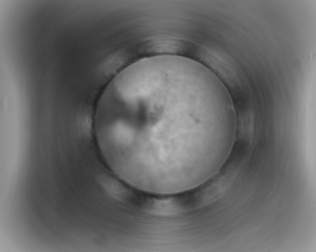 X0000115590309200911171035