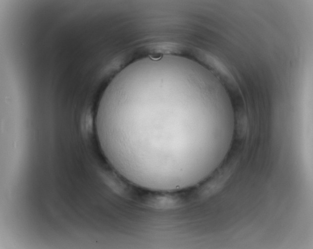 X0000115590310200911171035