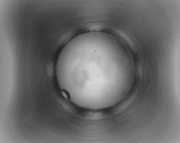 X0000115590311200911171035