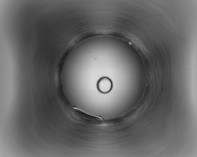 X0000115590312200911171035