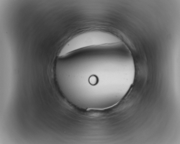 X0000115590313200911171035