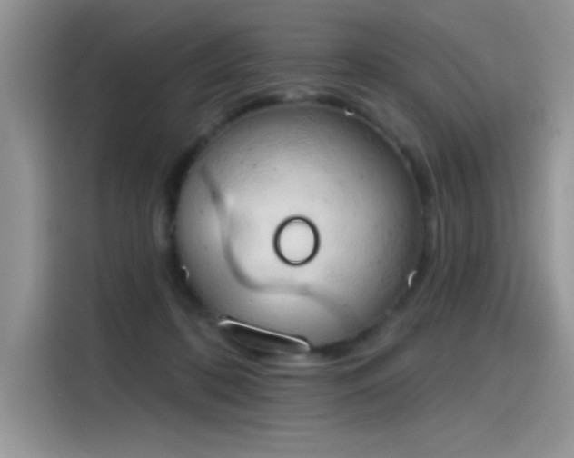 X0000115590316200911171035