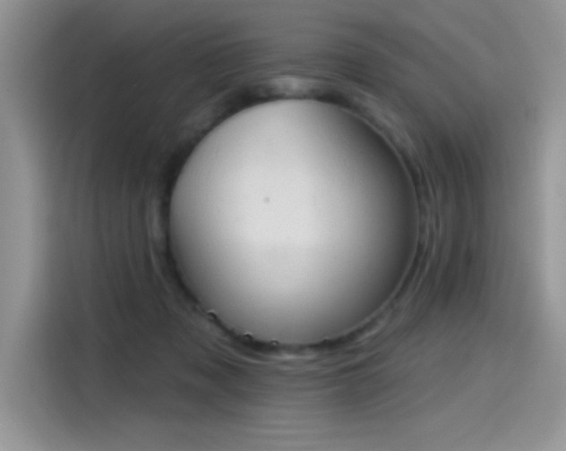 X0000115590317200911171035