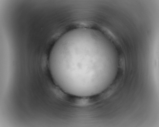X0000115590318200911171035