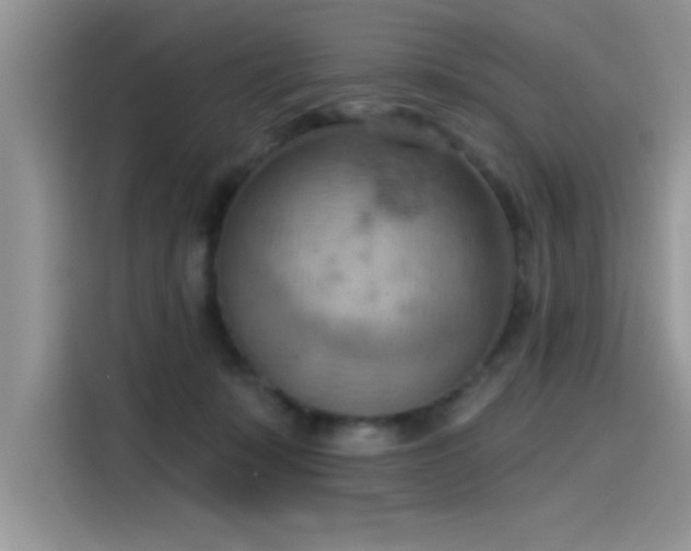 X0000115590319200911171035