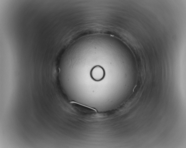 X0000115590320200911171035