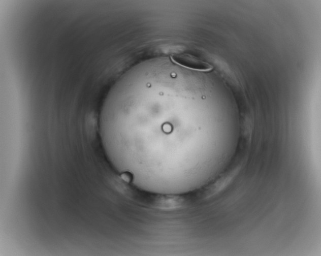 X0000115590321200911171035