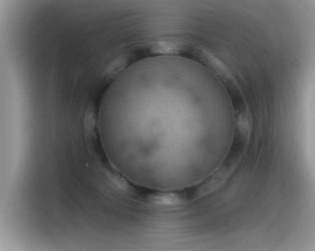 X0000115590322200911171035