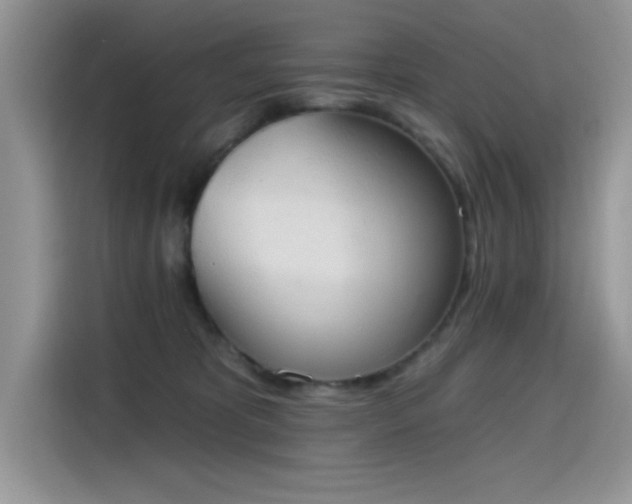 X0000115590325200911171035