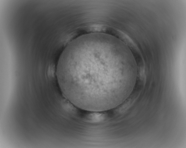X0000115590326200911171035