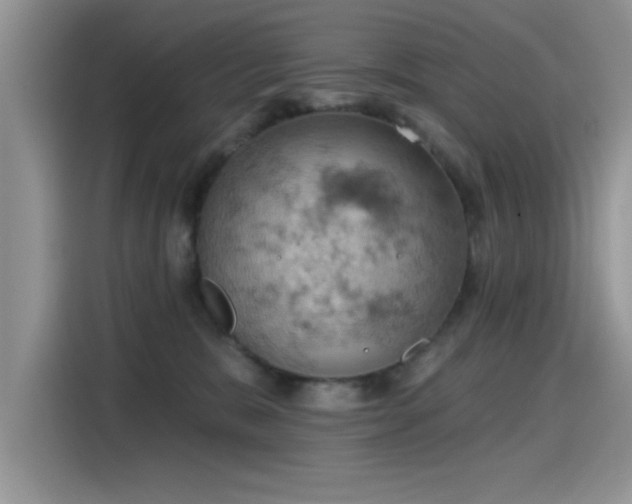 X0000115590327200911171035