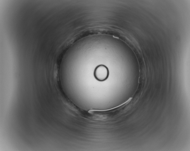 X0000115590328200911171035