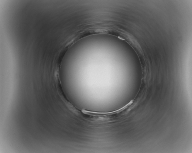 X0000115590329200911171035