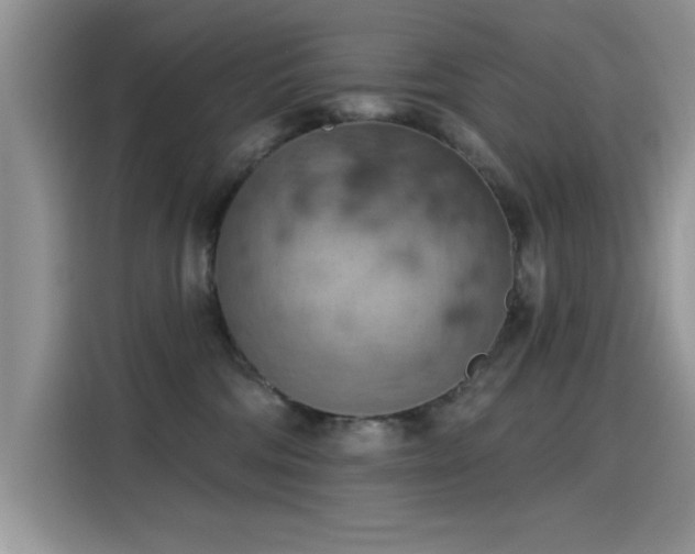 X0000115590330200911171035