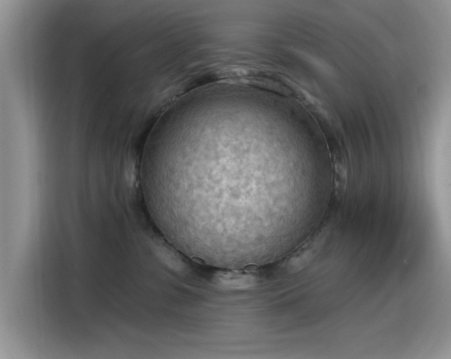 X0000115590331200911171035