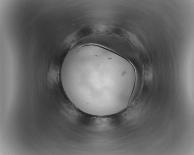 X0000115590332200911171035