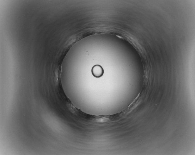 X0000115590333200911171035