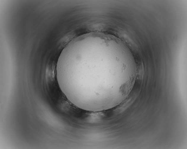 X0000115590334200911171035