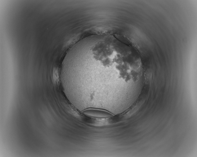 X0000115590335200911171035