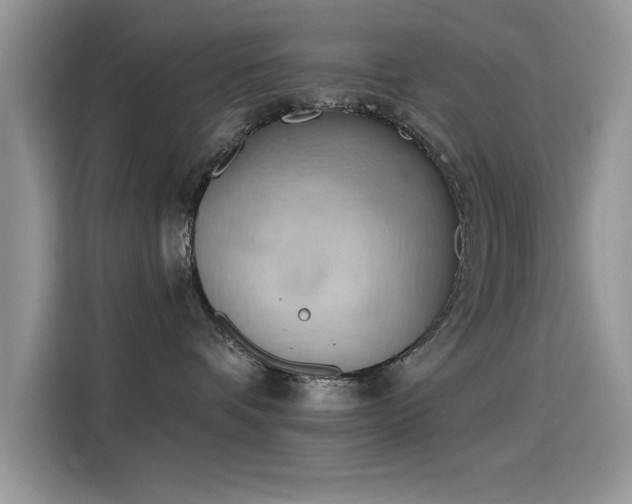 X0000115590336200911171035