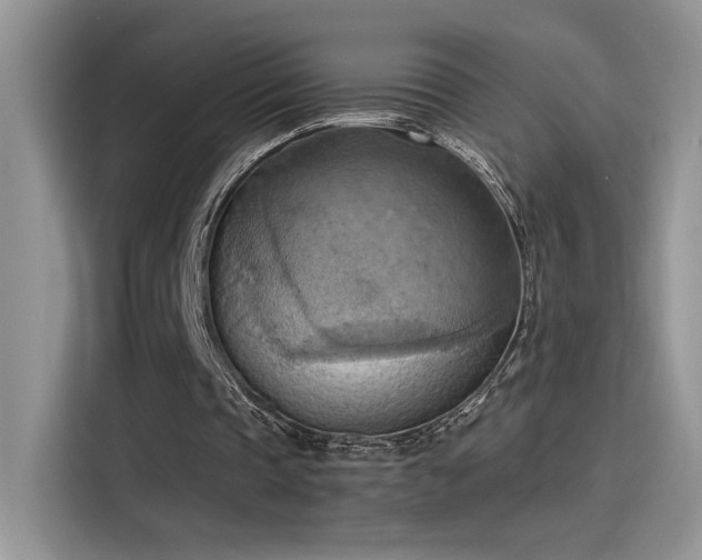 X0000115590337200911171034