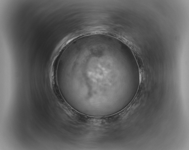 X0000115590339200911171034