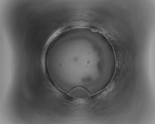 X0000115590341200911171034