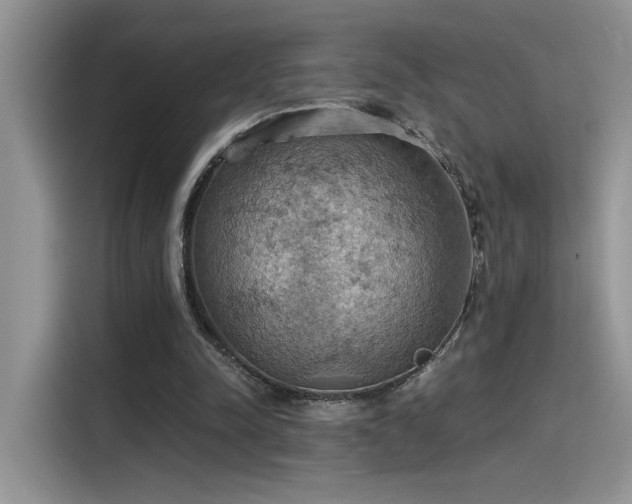 X0000115590342200911171034