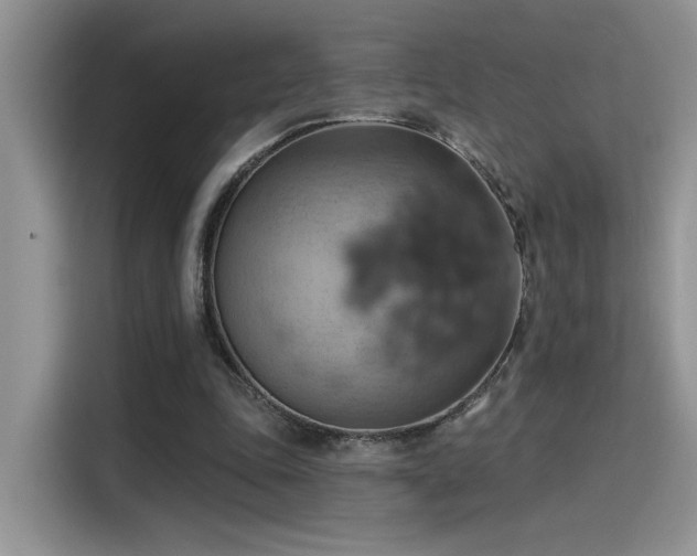 X0000115590343200911171034