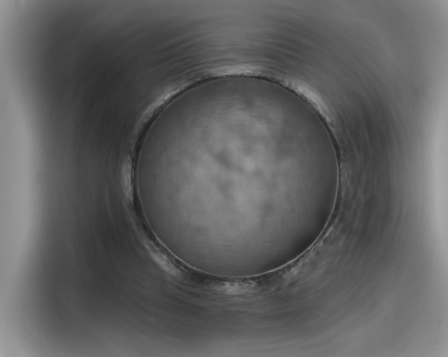 X0000115590345200911171034