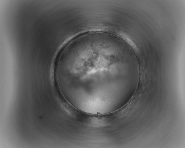 X0000115590346200911171034