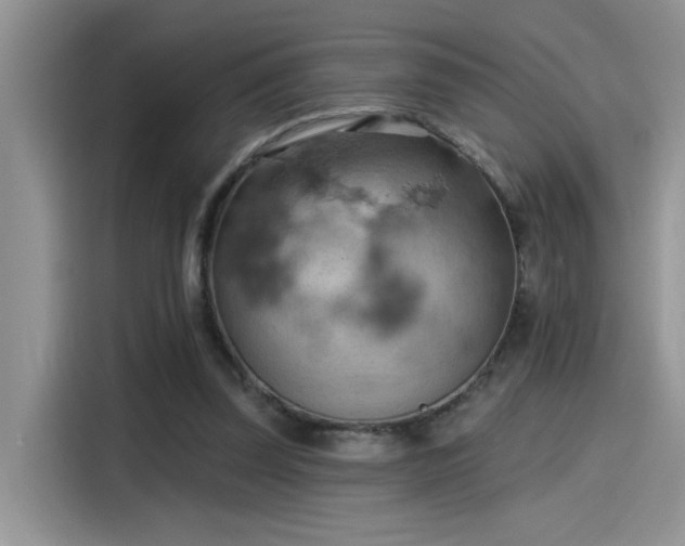 X0000115590347200911171034