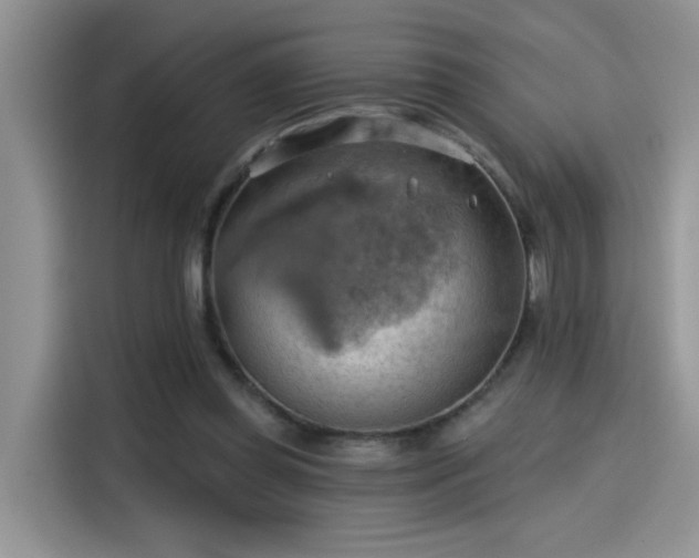 X0000115590349200911171034