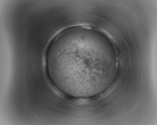 X0000115590350200911171034