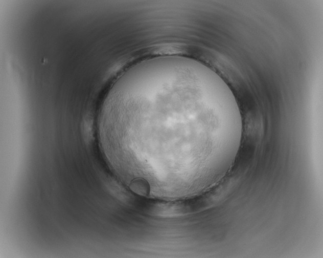 X0000115590351200911171034