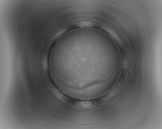 X0000115590353200911171034