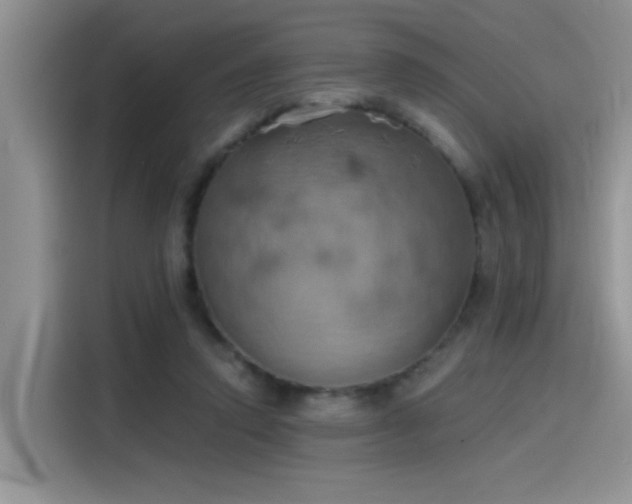 X0000115590354200911171034