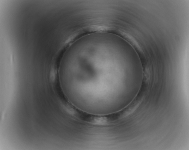 X0000115590355200911171034